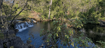 The Perfect Day Trip to Litchfield