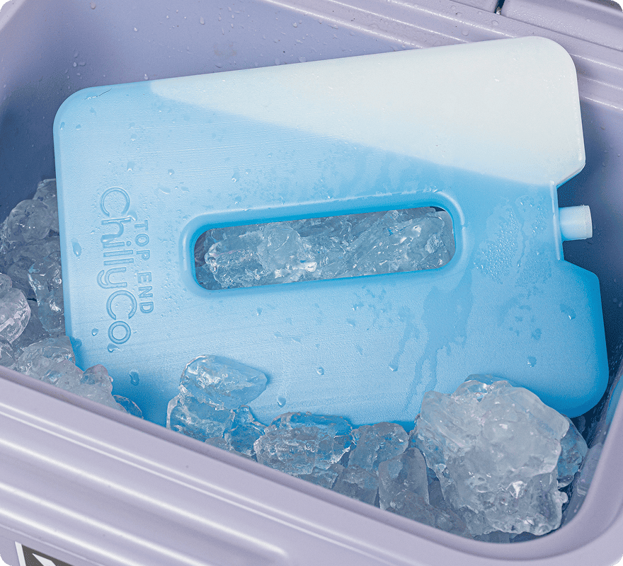 The Chilly Platter™ Ice Brick