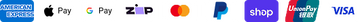 Paymnent Icon